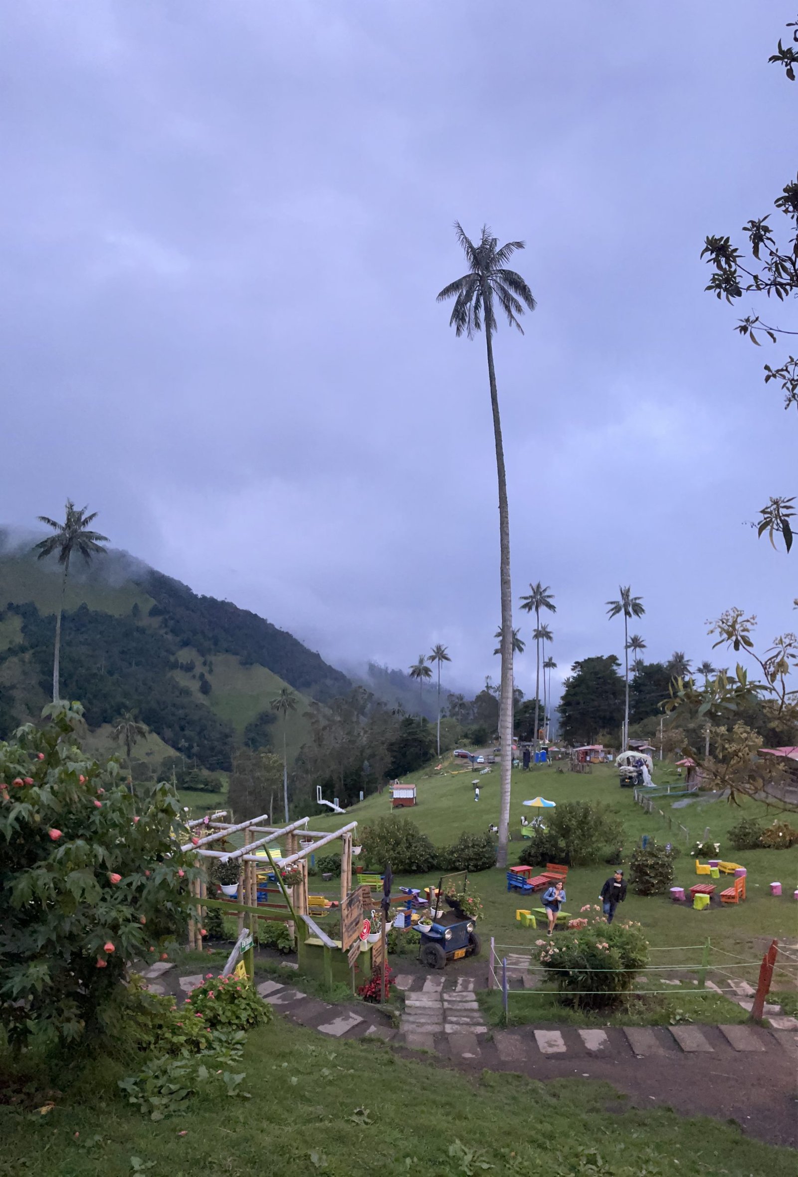 image00035